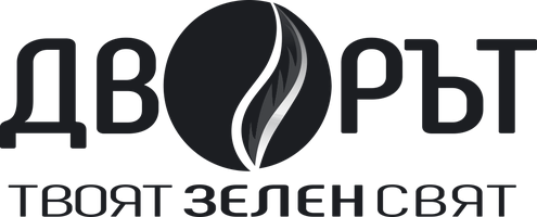 Дворът